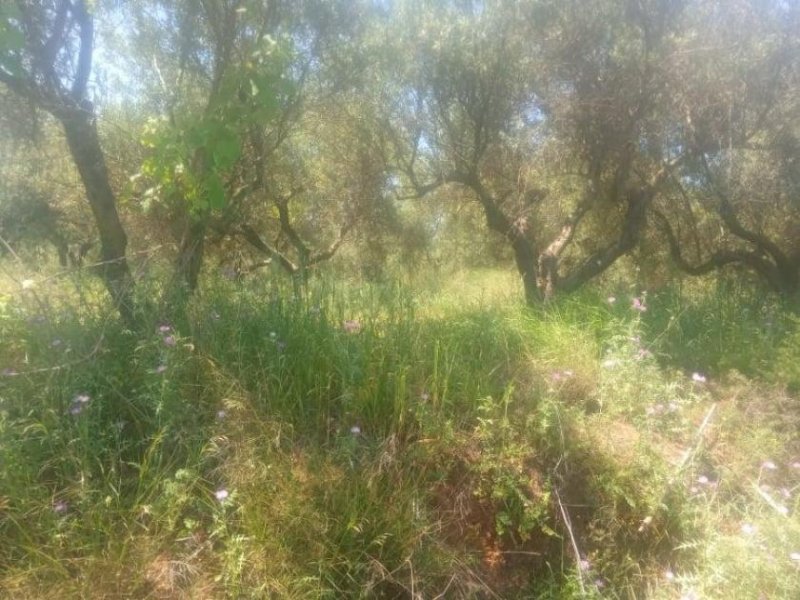 Maleme Kreta, Maleme: Grundstück mit Meerblick innerhalb des Stadtplans zu verkaufen Grundstück kaufen